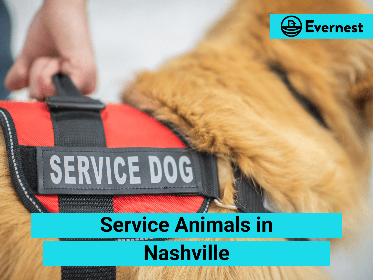 Service Animals: Everything Landlords Need to Know in Nashville, Tennessee